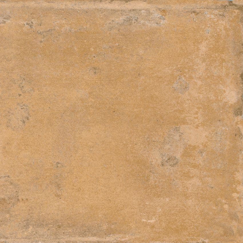 Cotti d Italia