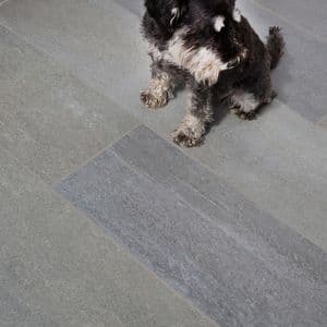 Bilde av hund på skifer